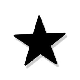 Wrought Iron Star Magnet
