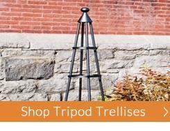 Buy Iron Tripod Trellises Online for your Garden