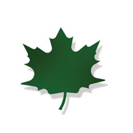 Wrought Iron Maple GREEN Magnet